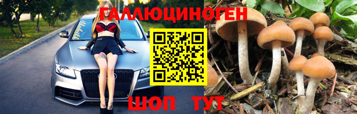 Псилоцибиновые грибы Magic Shrooms Верхний Уфалей